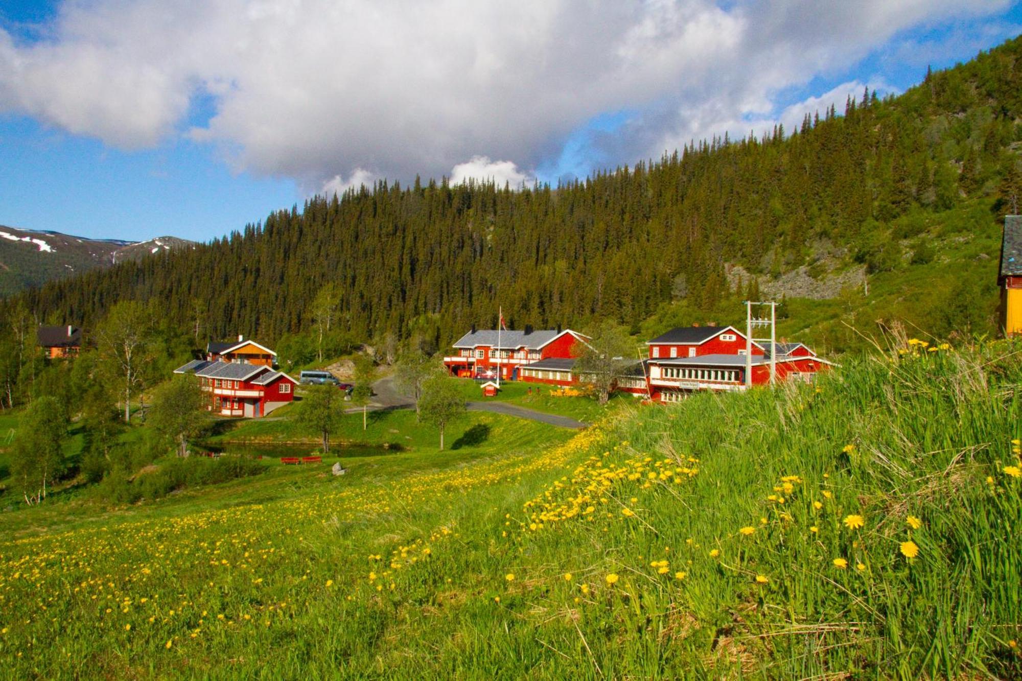 Hotel Gronolen Fjellgard Beitostolen Esterno foto