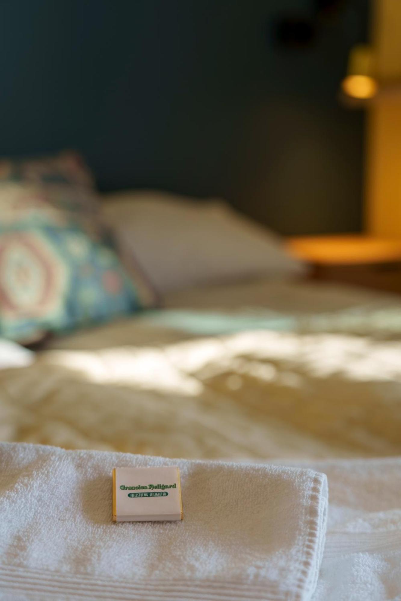 Hotel Gronolen Fjellgard Beitostolen Esterno foto